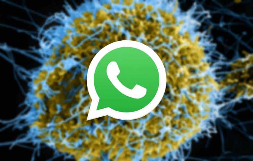 Reprodução Entenda como funcionam os serviços de disparo de mensagens em massa pelo WhatsApp - Winew