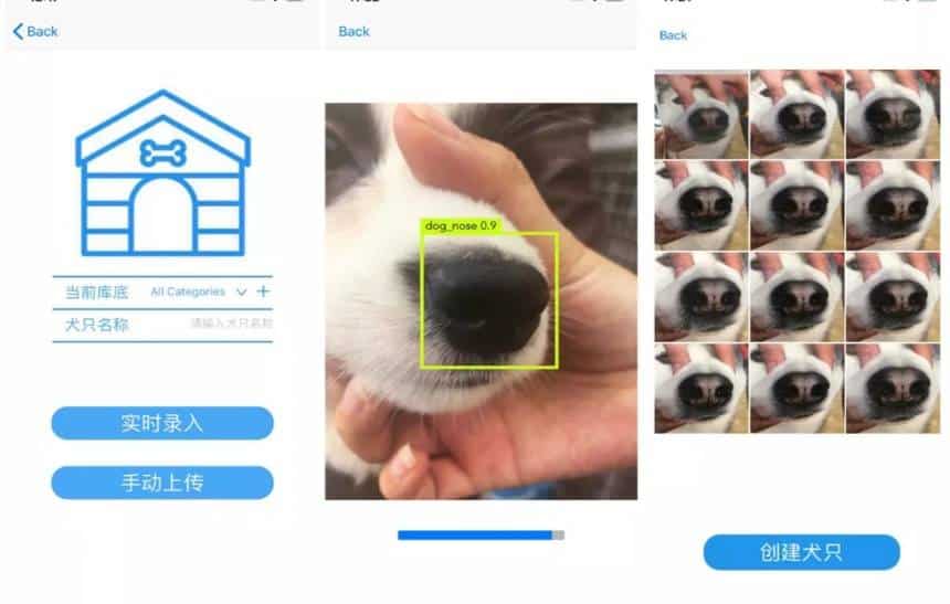 20190716053119_860_645_-_focinho_de_cachorro Inteligência Artificial identifica cães pelo focinho